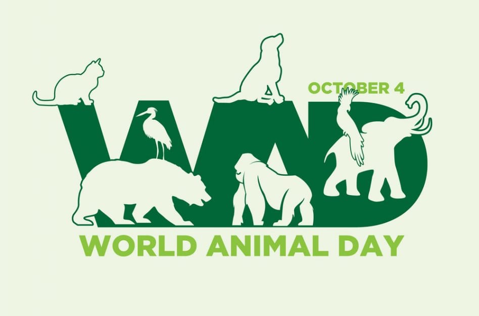 World animal day poster